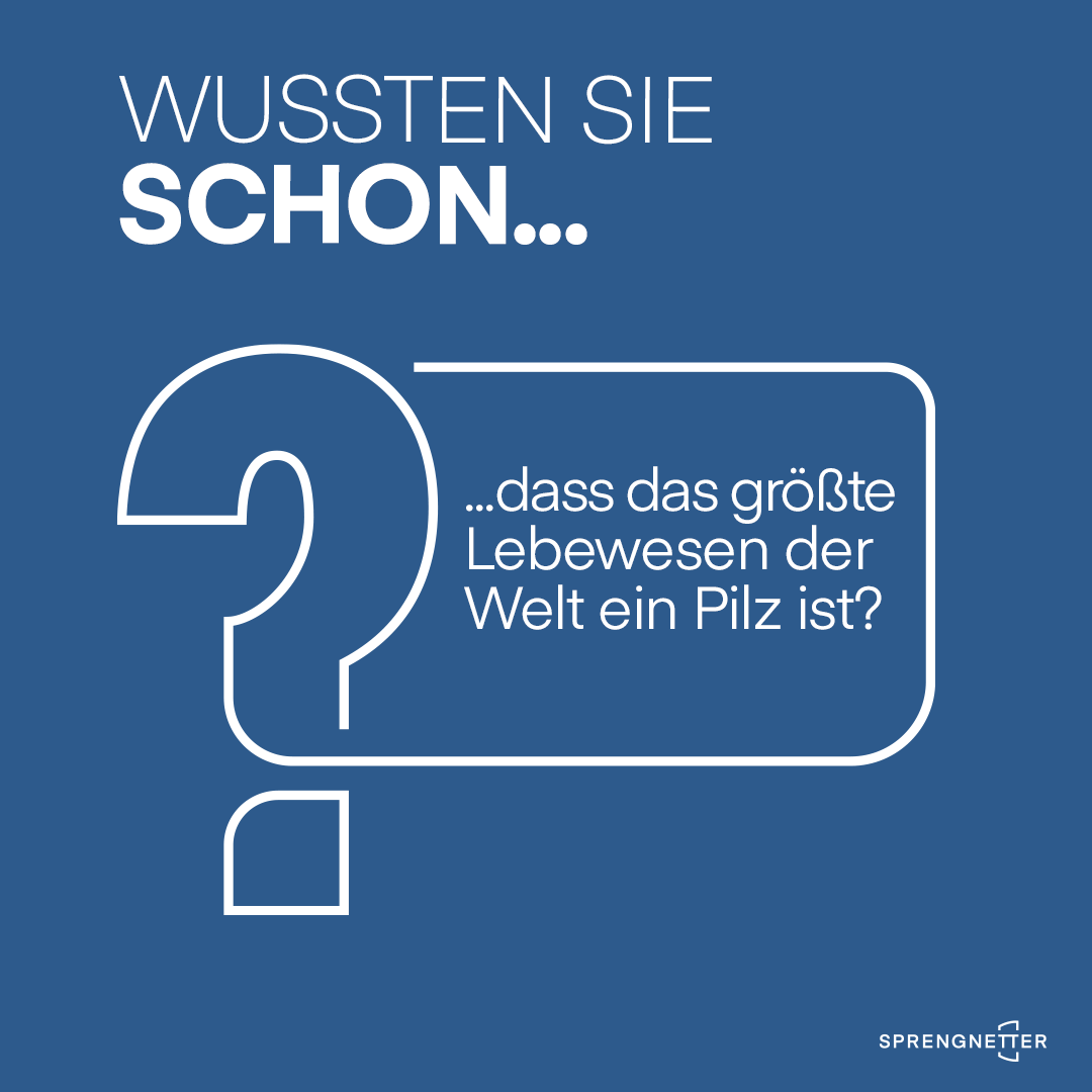 Wussten Sie schon?